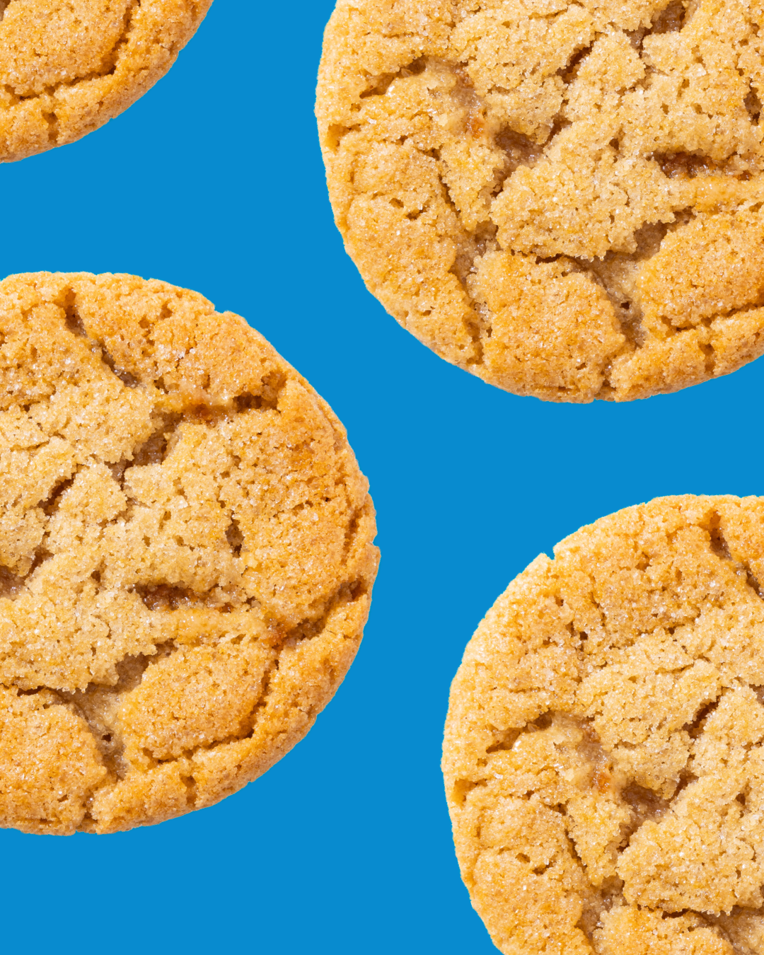 Ready to Bake Sugar Cookie