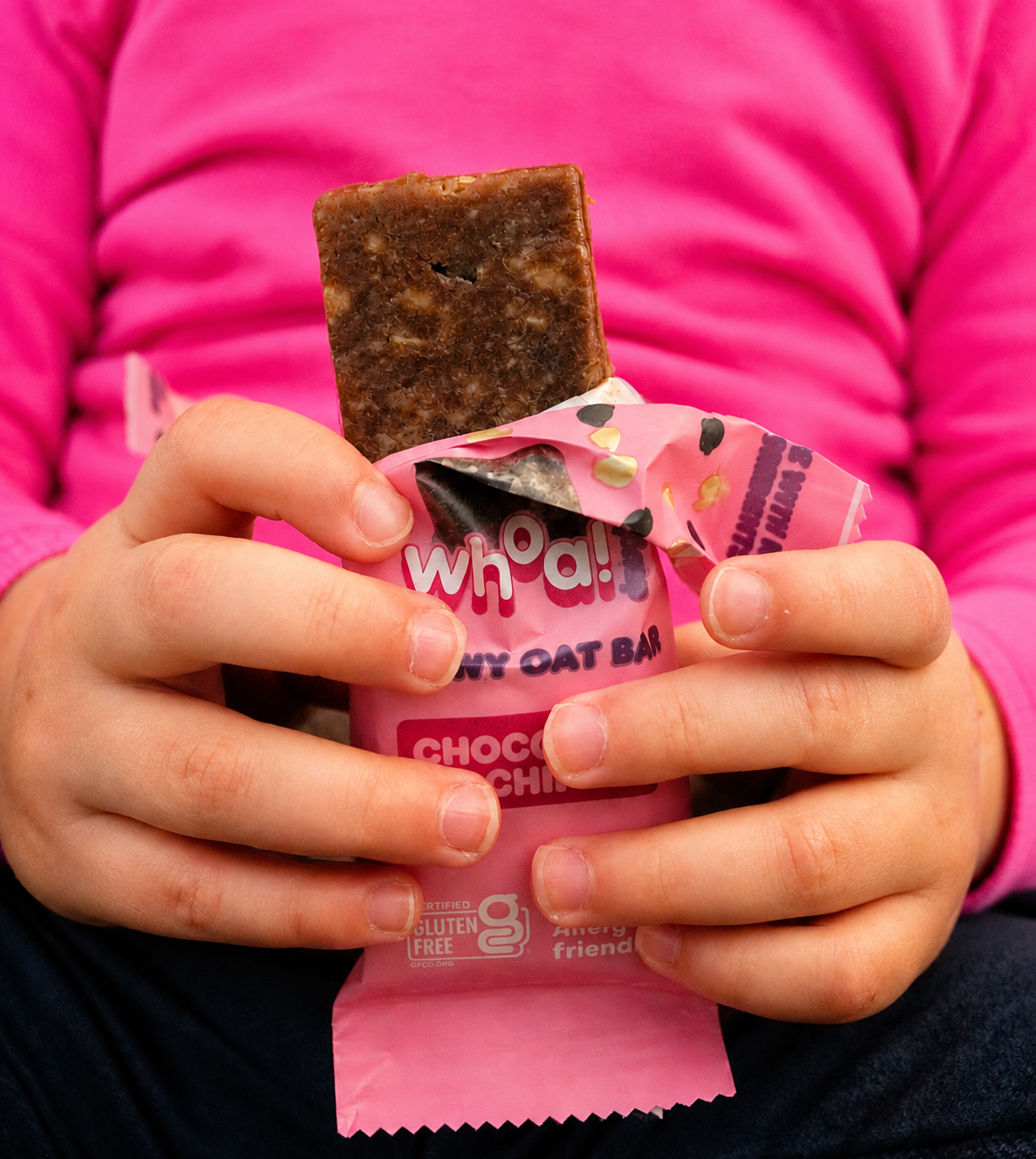 Chocolate Chip Chewy Oat Bars
